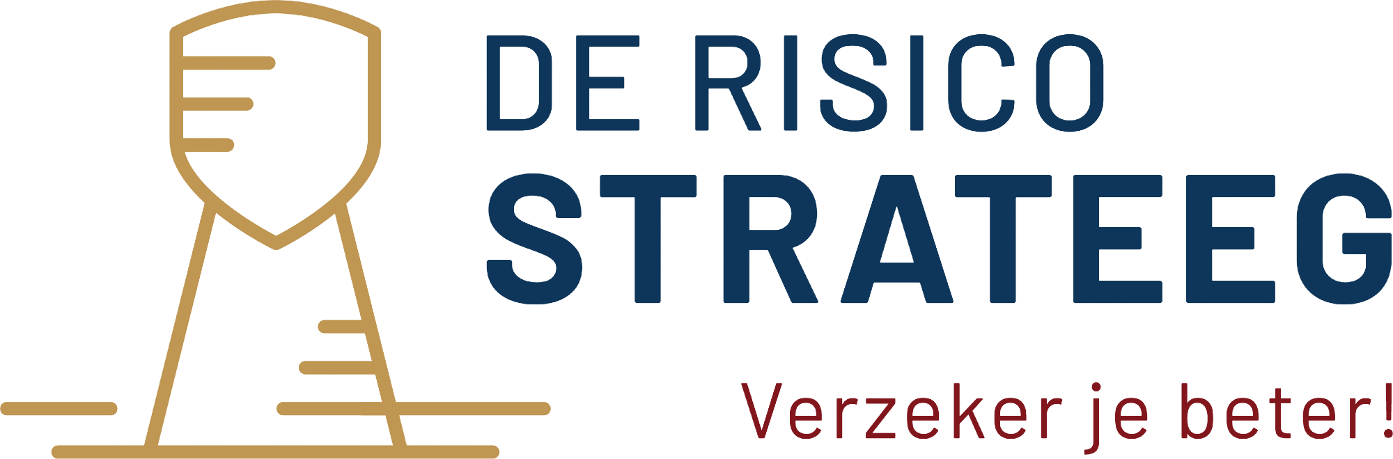 De risico strateeg